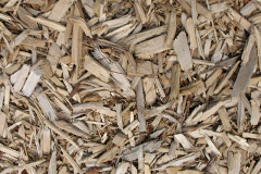 biomass boilers Norton Ash